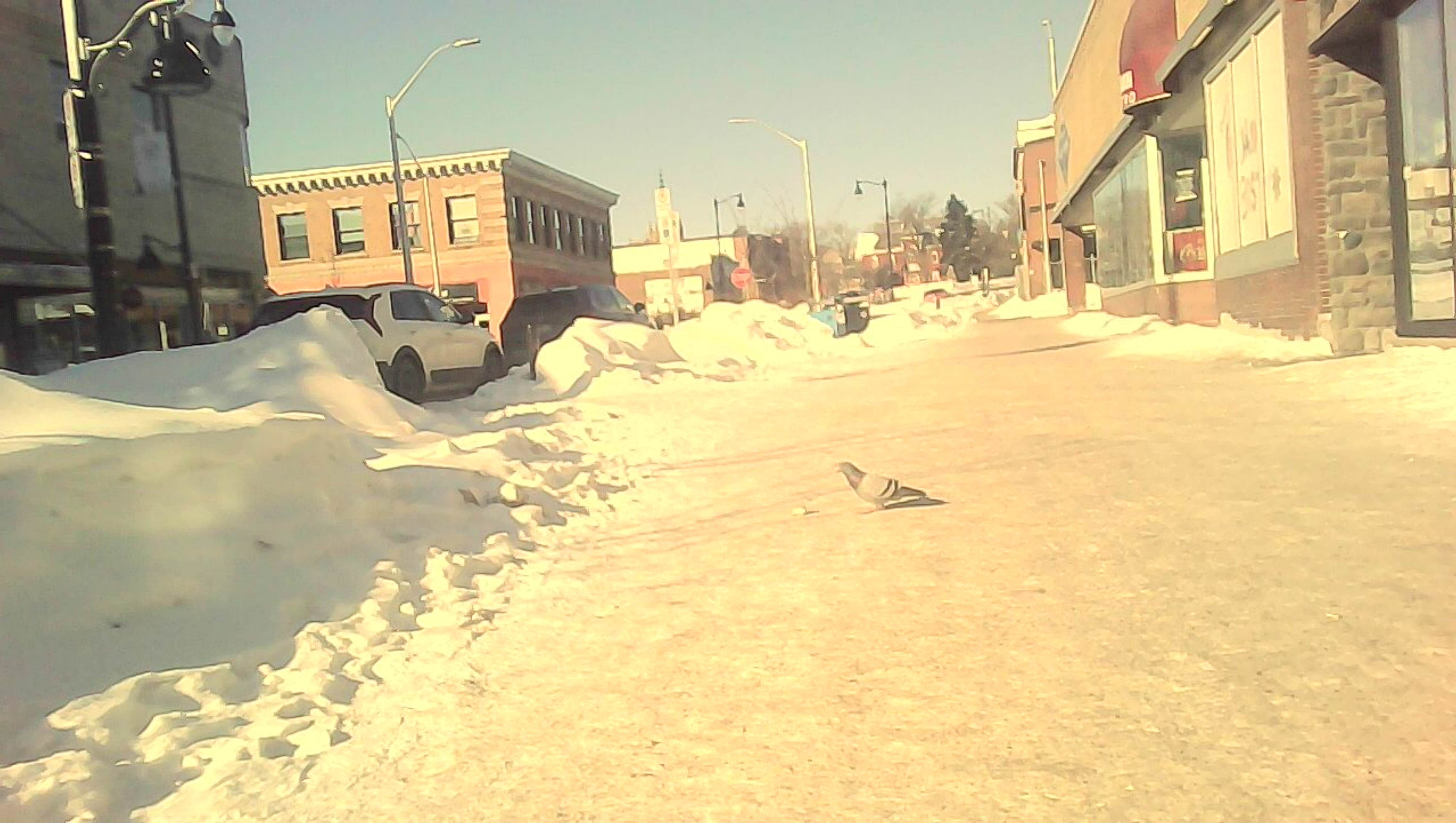 A picture my 2 year old son took of a pigeon in winter.